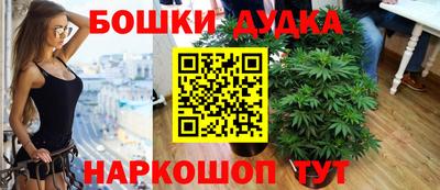 крисы Кимры