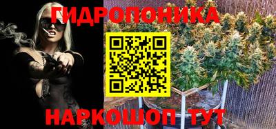 крисы Кимры