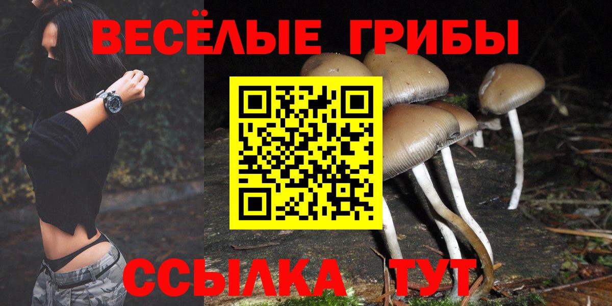 Галлюциногенные грибы прущие грибы  Вход с VPN  Коряжма 