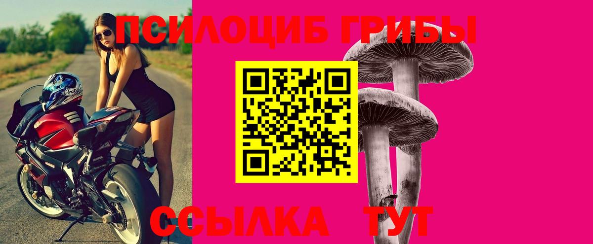 Галлюциногенные грибы Psilocybe Коряжма